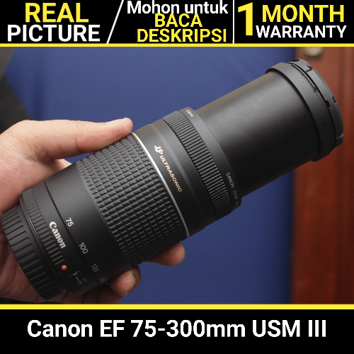 Canon EF 75-300mm USM III ULTRASONIC